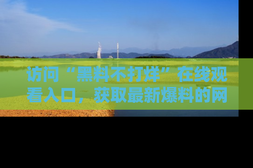 访问“黑料不打烊”在线观看入口，获取最新爆料的网址！