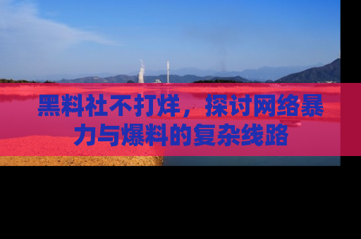 黑料社不打烊，探讨网络暴力与爆料的复杂线路