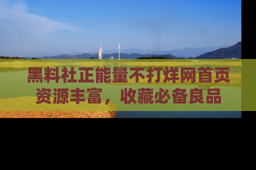 黑料社正能量不打烊网首页资源丰富，收藏必备良品