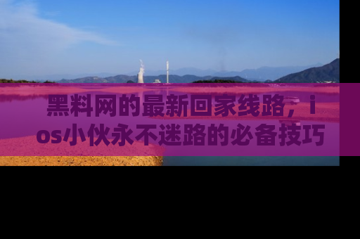 黑料网的最新回家线路，ios小伙永不迷路的必备技巧！
