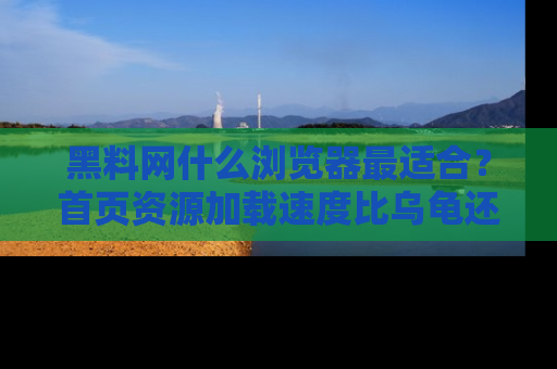 黑料网什么浏览器最适合？首页资源加载速度比乌龟还慢的体验真心吐槽！