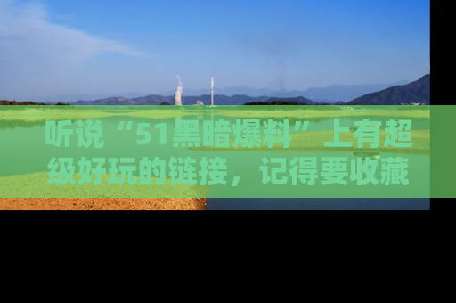 听说“51黑暗爆料”上有超级好玩的链接，记得要收藏哦！