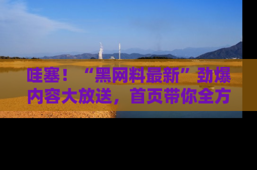 哇塞!“黑网料最新”劲爆内容大放送,首页带你全方位了解哦,小可爱们