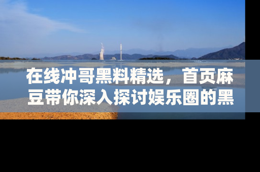 在线冲哥黑料精选，首页麻豆带你深入探讨娱乐圈的黑暗面