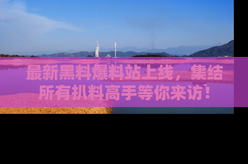 最新黑料爆料站上线，集结所有扒料高手等你来访！
